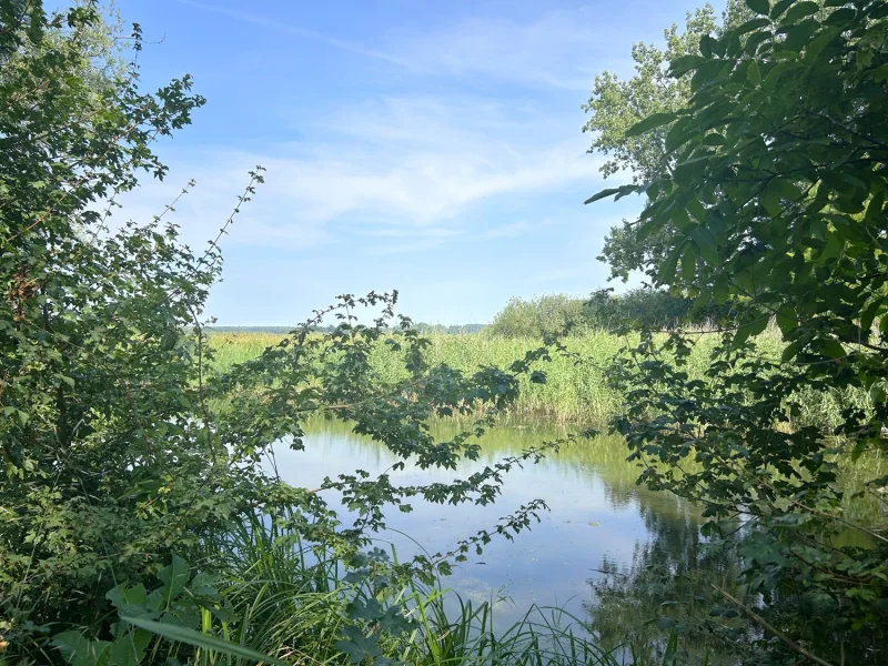 benachbarte Wasserfläche