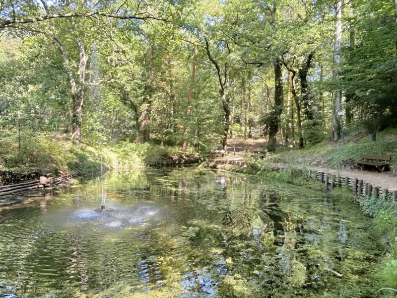 Teich mit Springbrunnen