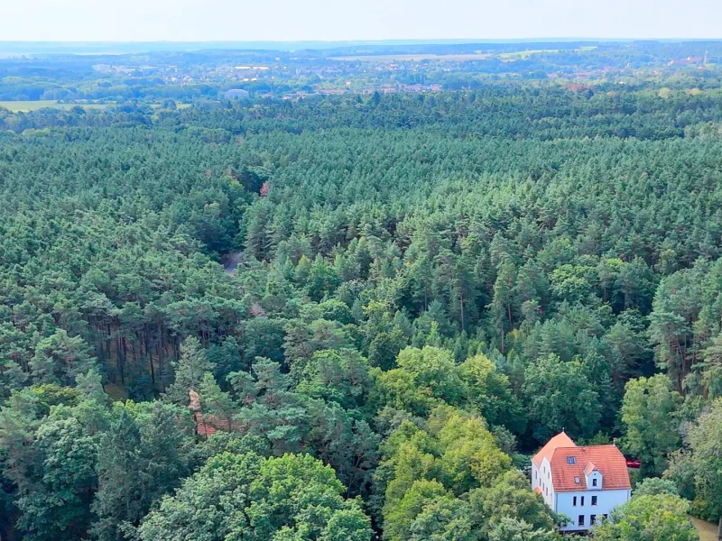 Naturpark "Hoher Fläming" mit fabelhafter Luftqualität