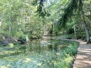 Teich mit Springbrunnen