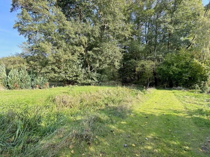 naturbelassener Garten mit angrenzendem Waldgebiet