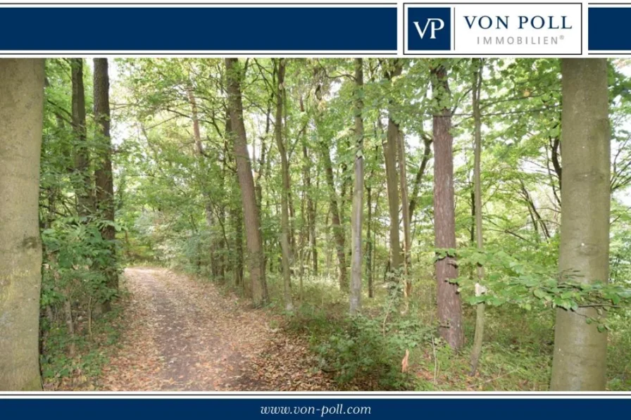 Titelbild - Grundstück kaufen in Künzelsau - *provisionsfrei*  Waldgrundstück in Hanglage - Ideal für Imker oder Urlaub im Grünen
