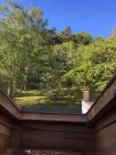 Blick aus dem Dachfenster zum Wald