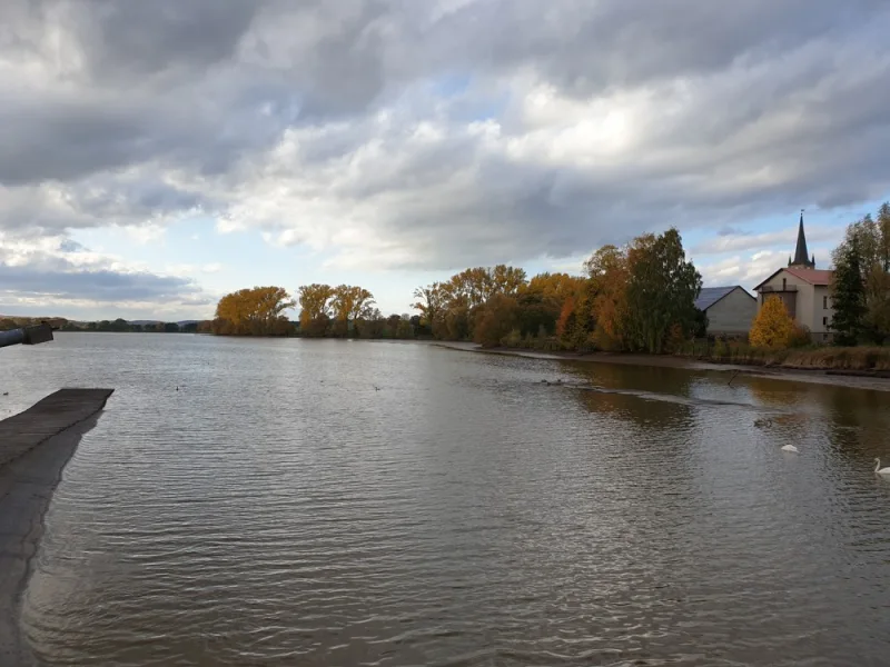 Schiedunger Teich  (2)