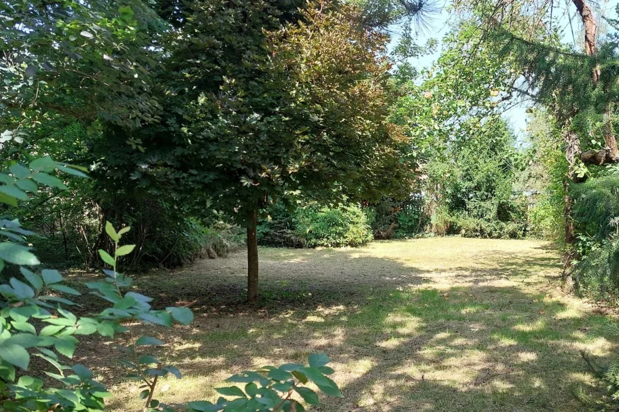 Gewachsener Garten