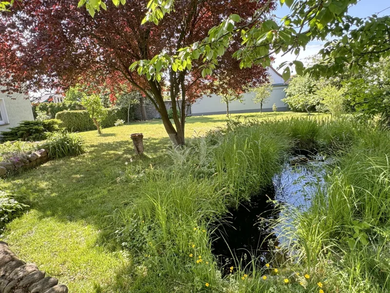 Außenbereich - Garten