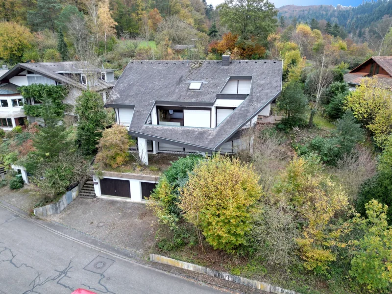 Hausansicht - Haus kaufen in Seelbach - Platz für die ganze Familie mit atemberaubenden Panoramaausblick