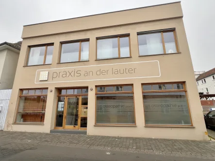 Eingang - Büro/Praxis mieten in Lauterbach - Zentral gelegenes Praxis- oder Bürohaus im Herzen von Lauterbach