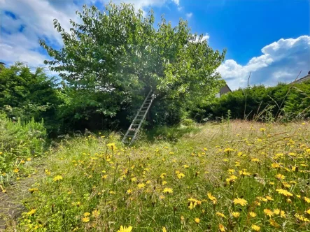 Garten - Haus kaufen in Voerde - Bodenständiges Einfamilienhaus in beliebter Lage in Voerde- Friedrichsfeld