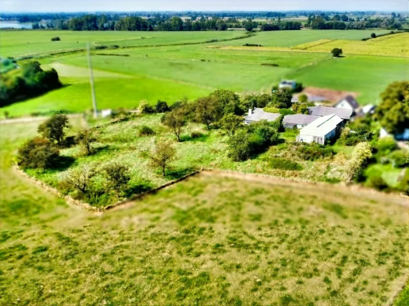 Gesamtes Anwesen_ - Haus kaufen in Emmerich - Einzigartiger Resthof – ideal für Familien, Pferdeliebhaber, Naturliebhaber