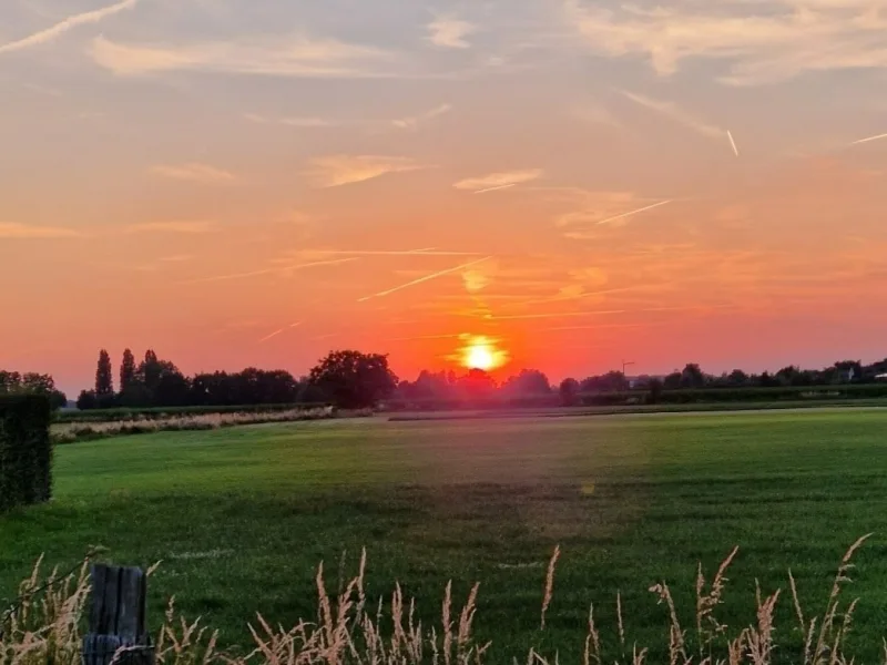 Sonnenuntergang Wiese am Hof