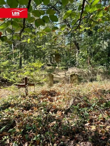 historischer Friedhof