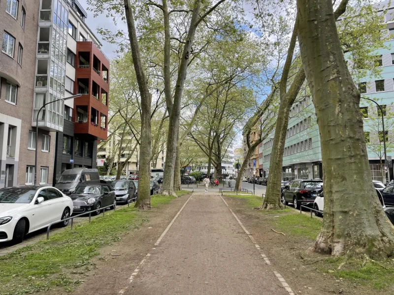 Allee zum Ring