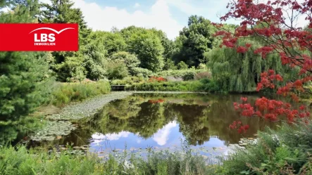 Natur pur… - Haus kaufen in Lienen - Leben im eigenen Paradies! Angebotspreis Verhandlungsbasis!!!