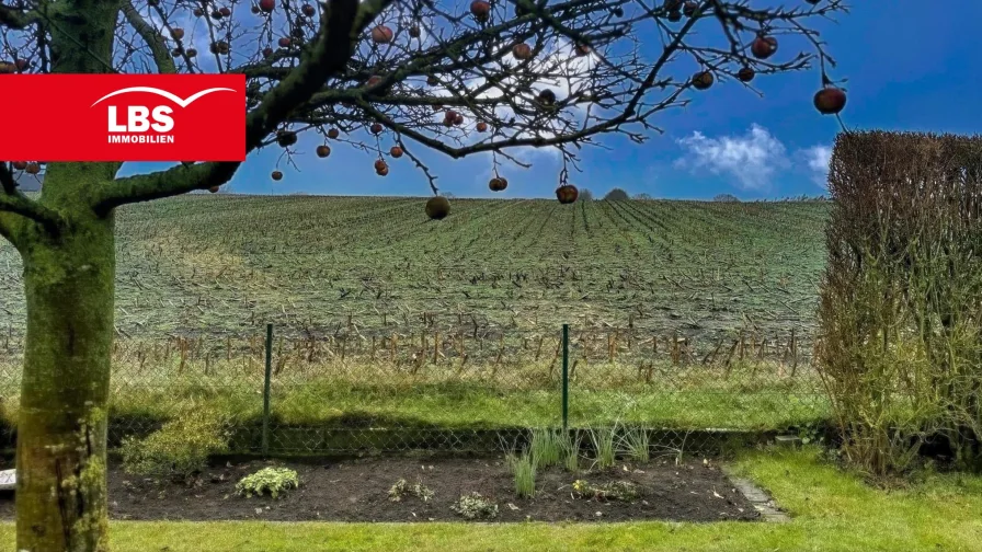  - Haus kaufen in Rheine - Der nächste Sommer unterm Apfelbaum - Geräumige Doppelhaushälfte in Rheine