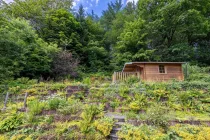 Grundstück am Waldrand mit Gartenhaus