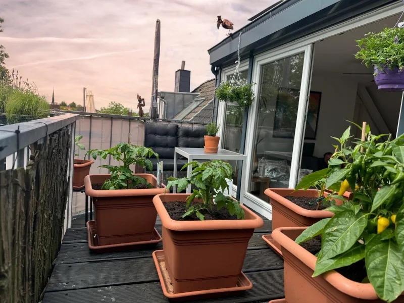 Terrasse2 - Wohnung kaufen in Dortmund - Urbanes Wohnen -Helle und grosszügige Maisonette-Wohnung!