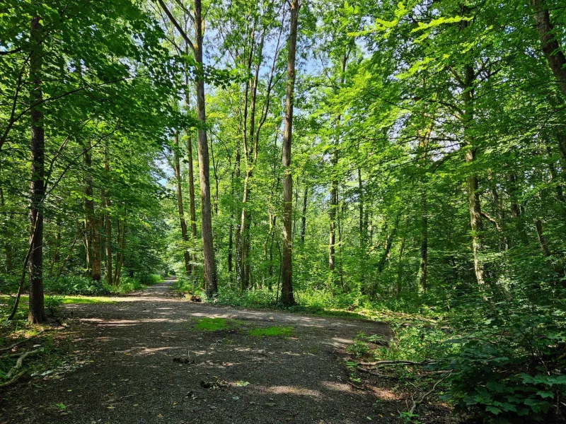 Naherholung vor der Haustür