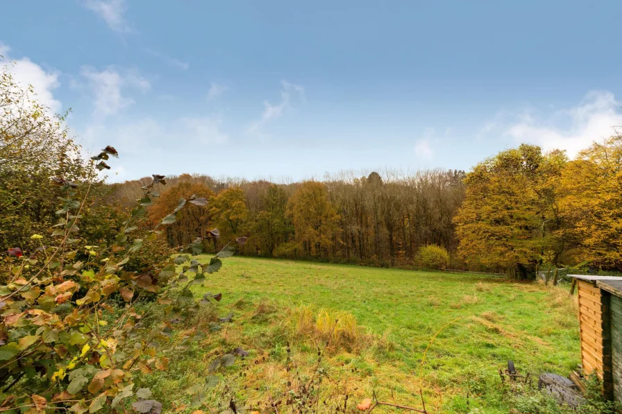 Blick ins Grüne