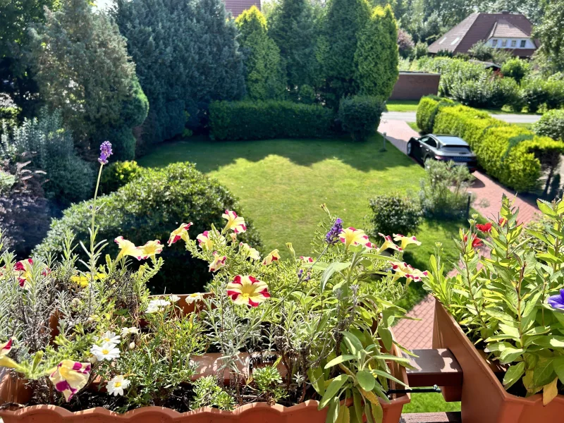 Ausblick vom Balkon 