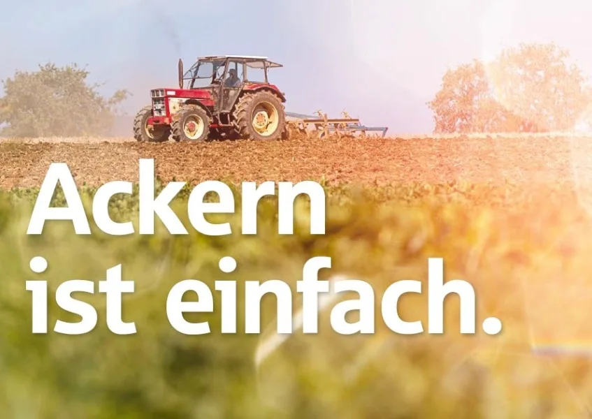 Ackern ist einfach - Grundstück kaufen in Edewecht - Gutes Ackerland in Edewecht-Westerscheps