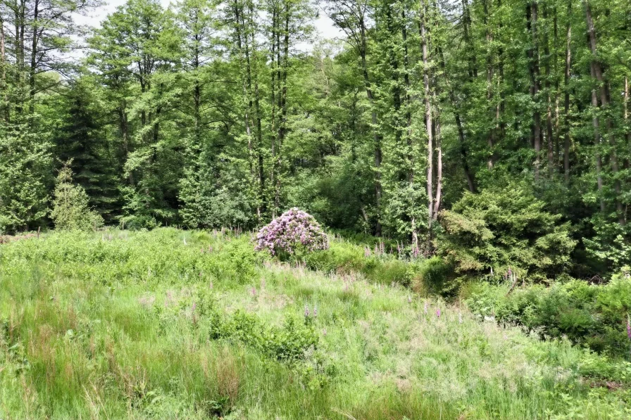 Ihr eigener, kleiner Wald