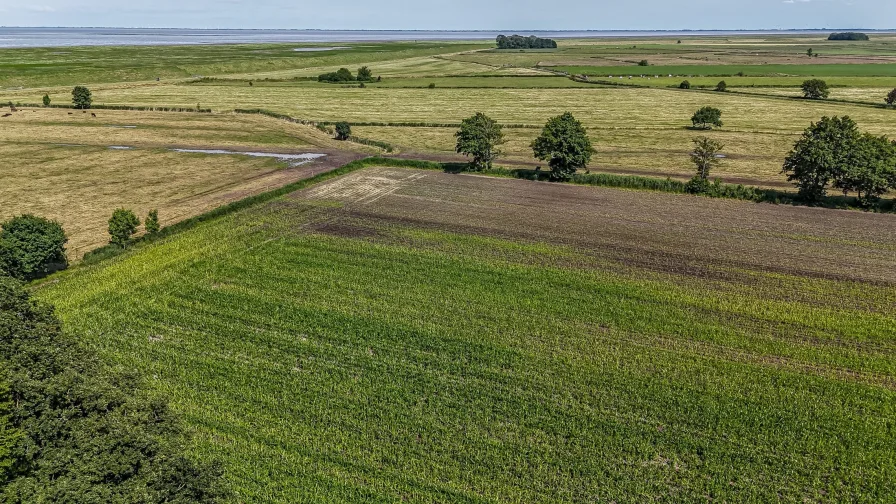 Freier Blick über Wiesen u. Felder