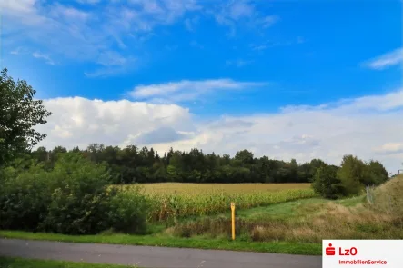 Flächenansicht - Grundstück kaufen in Lohne - Landwirtschaftliche Fläche in Lohne nach Gebot zu verkaufen