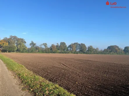 Flächenansicht 1 - Grundstück kaufen in Löningen - Bestes Ackerland und Waldfläche in Löningen–Lodbergen zu verkaufen