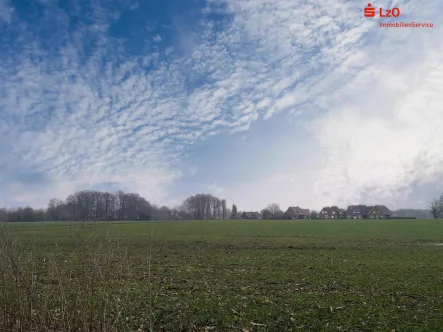 Flächenansicht - Grundstück kaufen in Löningen - Bestes Ackerland in Löningen-Bunnen