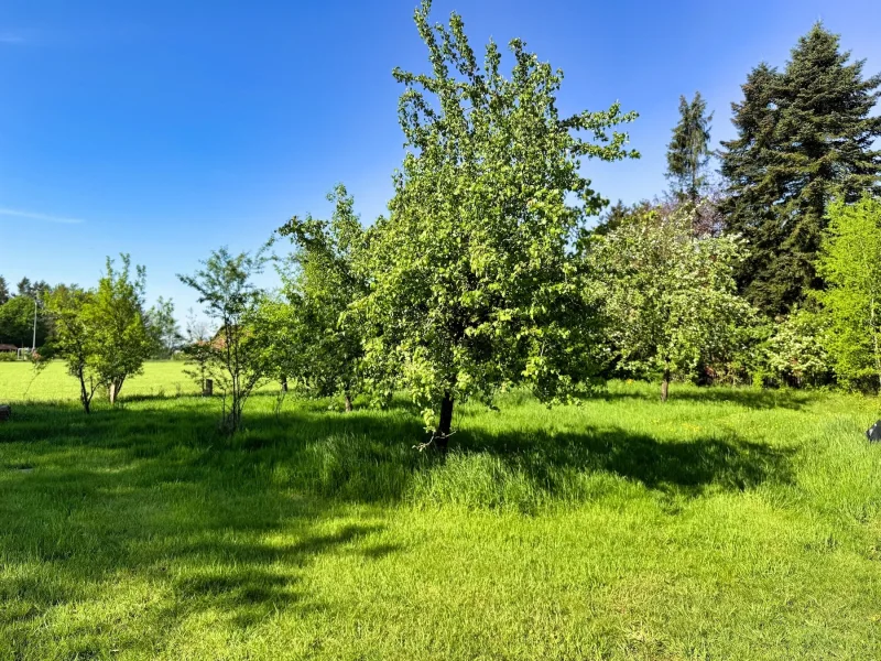 Obstgarten