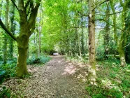 Eigener Wald am Haus