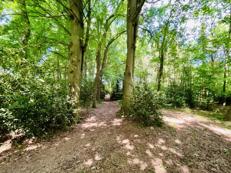 Eigener Wald am Haus