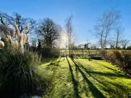 Blick in den Garten