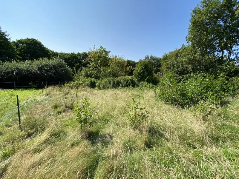 Blick in den Südteil des Grundstückes - Grundstück kaufen in Baltrum - Rarität: 600 m² Bauplatz auf der Nordseeinsel Baltrum 