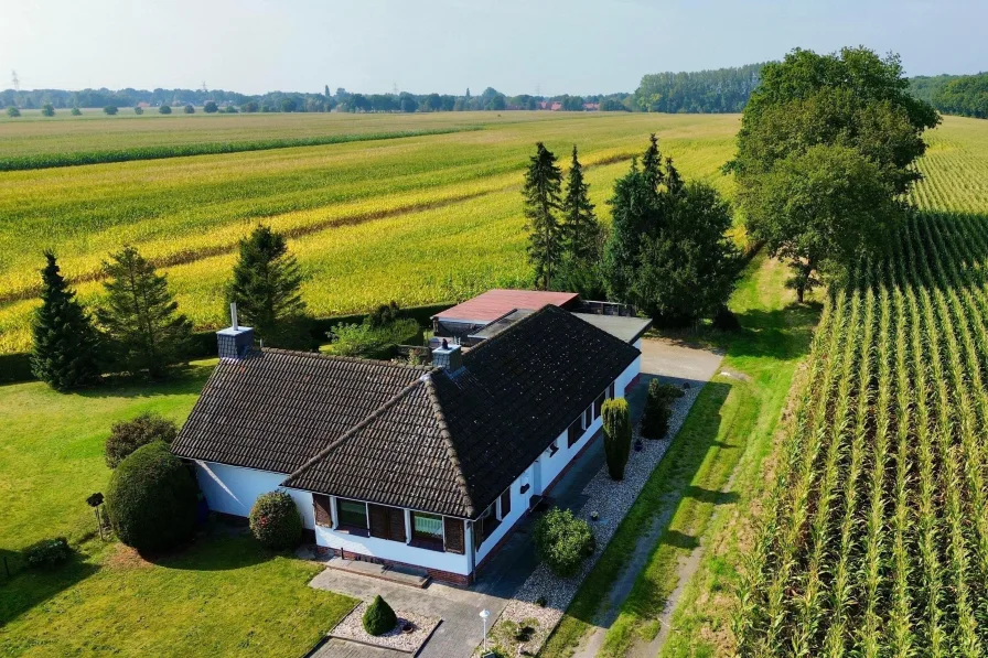 Frontansicht  - Haus kaufen in Weener - Umgeben von Grün