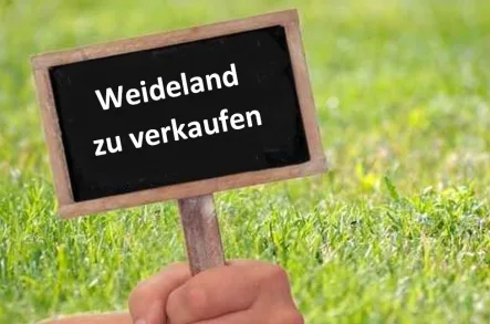 Weideland zu verkaufen - Land- und Forstwirtschaft kaufen in Leer - Weideland mit guter Verkehrsanbindung