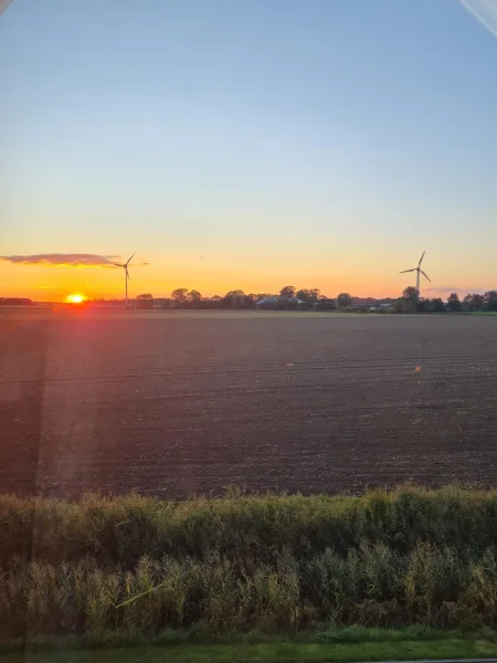 Blick aus dem Küchenfenster