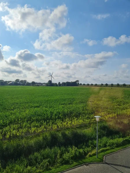 Blick aus dem Küchenfenster