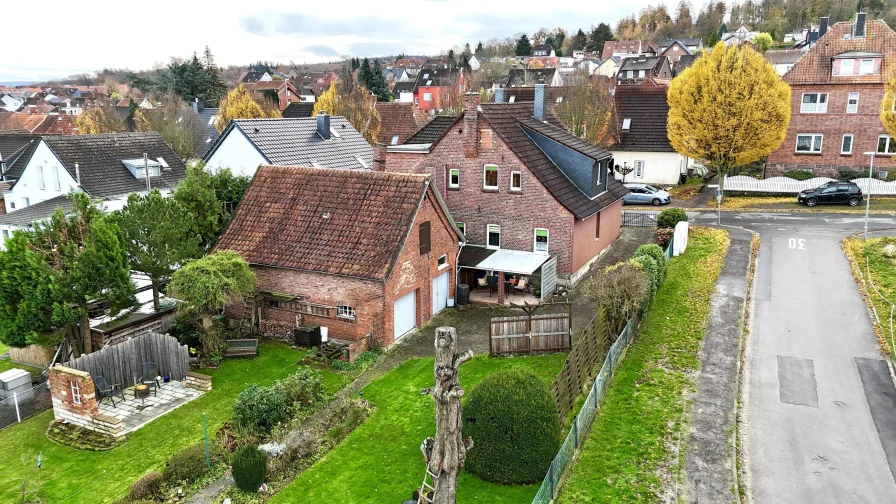 Blick in den Garten