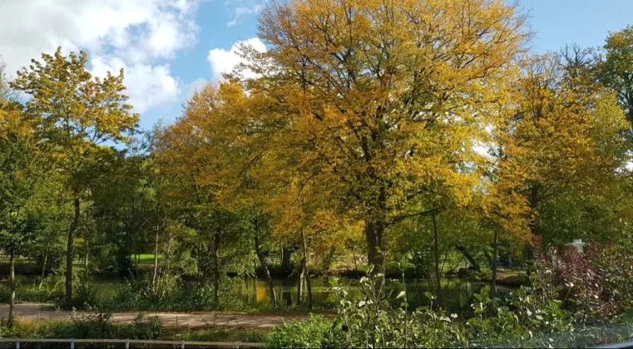 herbstlicher Blick