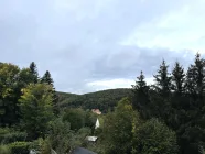 Ausblick ins Grüne