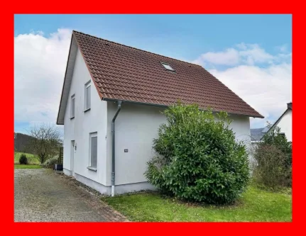 Front-/Seitenansicht - Haus kaufen in Duingen - Niveauvoll leben...