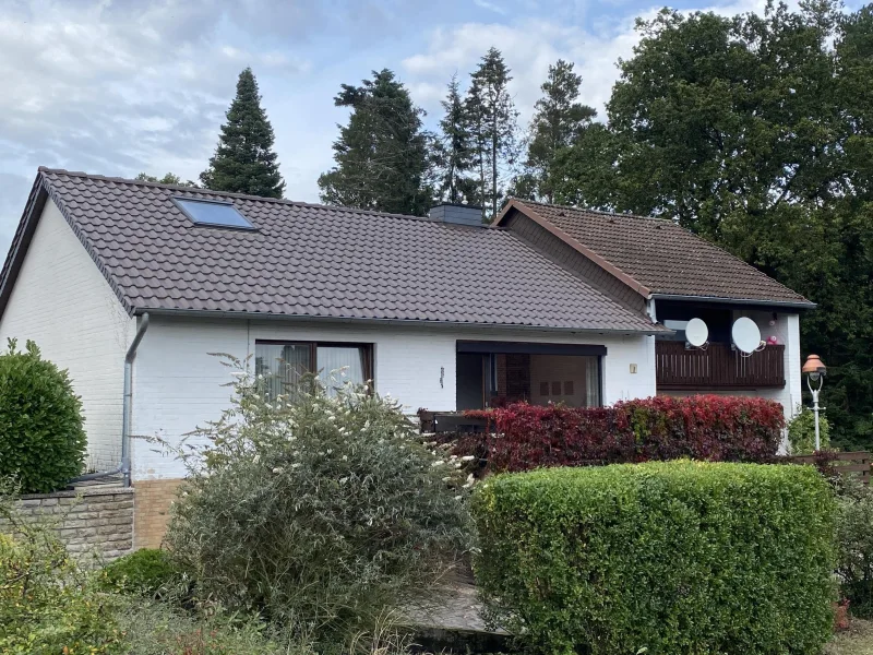 Seitenansicht - Haus kaufen in Danndorf - Einfamilienhaus mit Einliegerwohnung in Danndorf