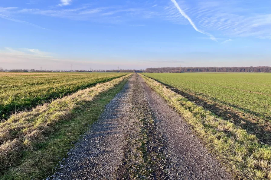 Schnell in der Feldmark