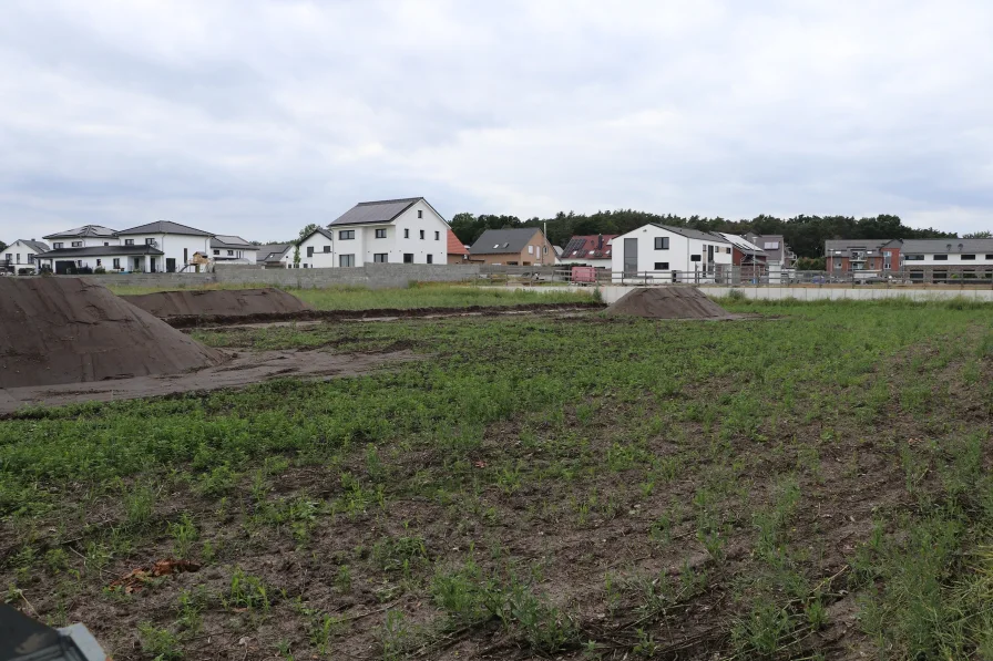 Hintergrund: 1. Bauabschnitt Laije I