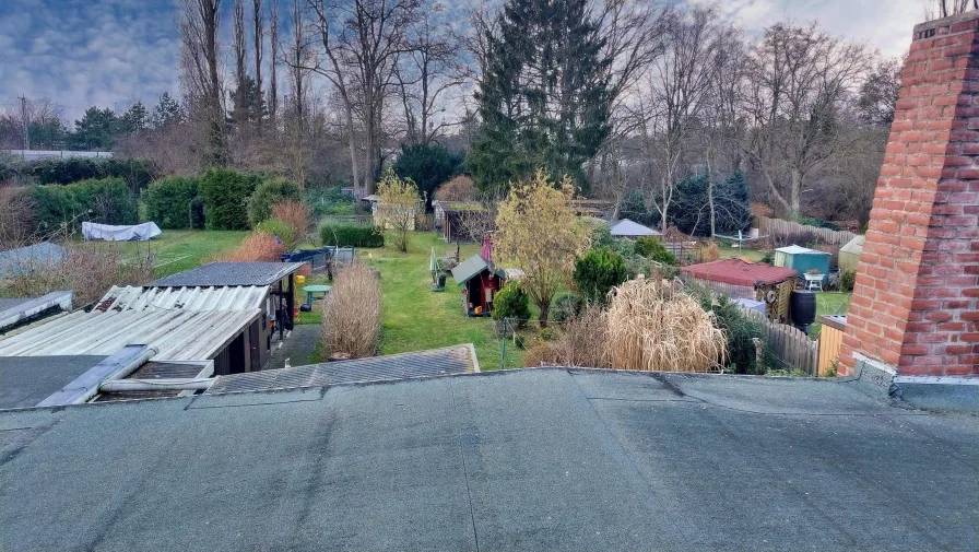 Blick in den Garten 