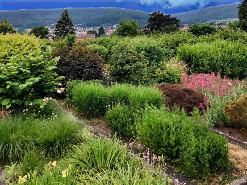 Liebevolle Gartenanlage