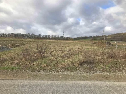 Straßenansicht - Grundstück kaufen in Hardegsen - Grundstück im Neubaugebiet in Gladebeck