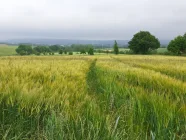 Blick auf Göttingen